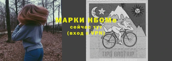 прущие грибы Краснотурьинск