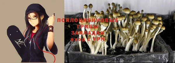героин Краснослободск