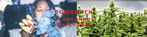 прущие грибы Краснотурьинск