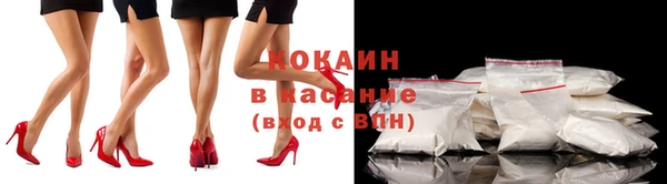 прущие грибы Краснотурьинск