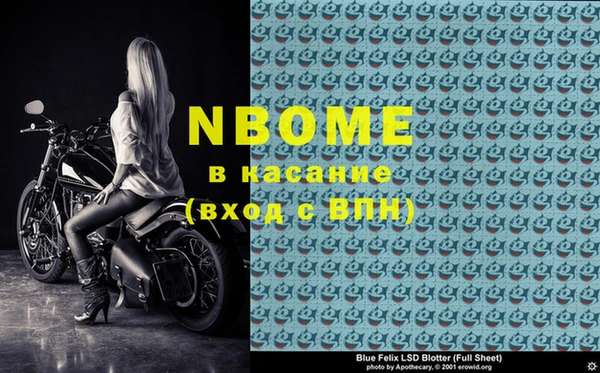 прущие грибы Краснотурьинск
