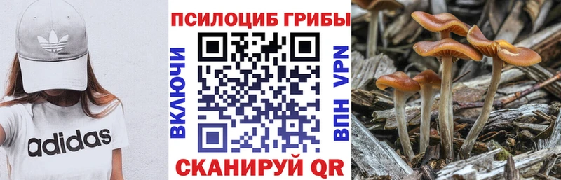даркнет сайт Батайск Псилоцибиновые грибы Magic Shrooms