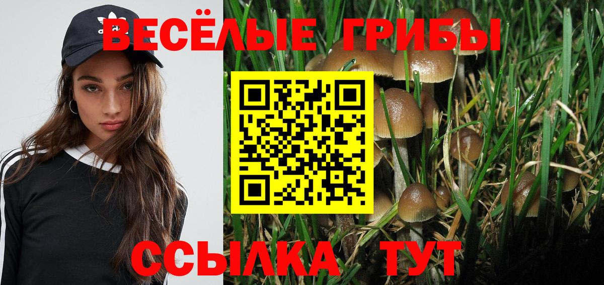 Галлюциногенные грибы мухоморы  Вход с VPN  Батайск 